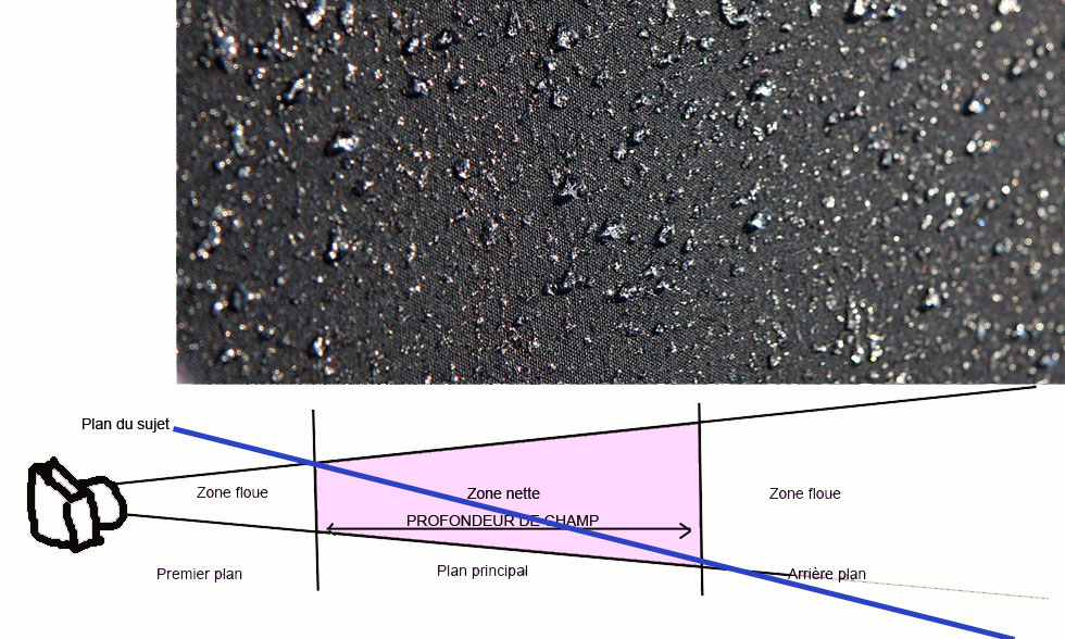 Exemple de profondeur de champ. 