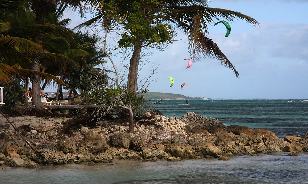 L'image termin�e : ecole de Kite surf � Ste Anne, en Guadeloupe. 