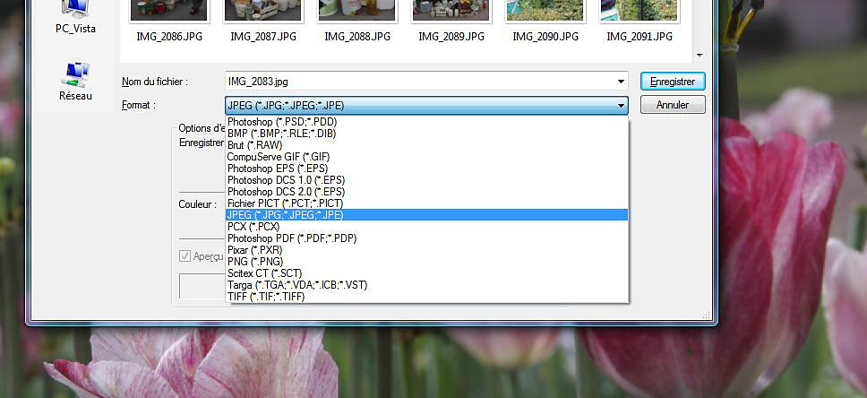Types de fichiers images. 