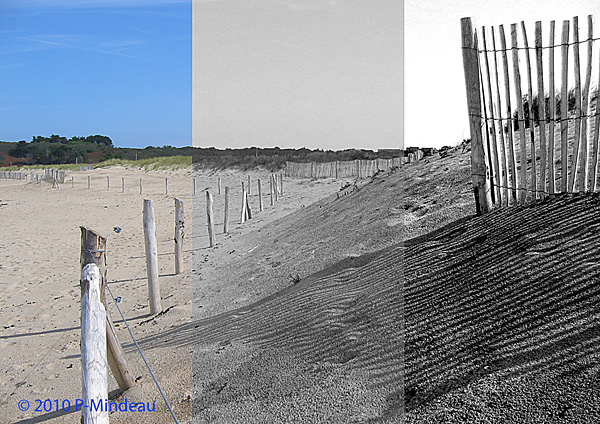 Passage de la couleur au N&B. 