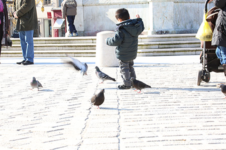 Exemple d'une image qui a n�cessit� un long temps de reprise en post-traitement. 