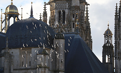 Cath�drale de Toul. 