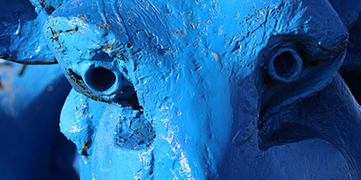 Godelle de Commercy. 