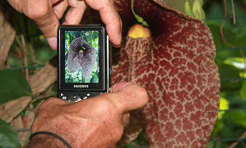 Quel est le sujet ?. 