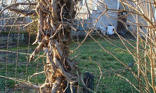 Le d�tail qui tue. 